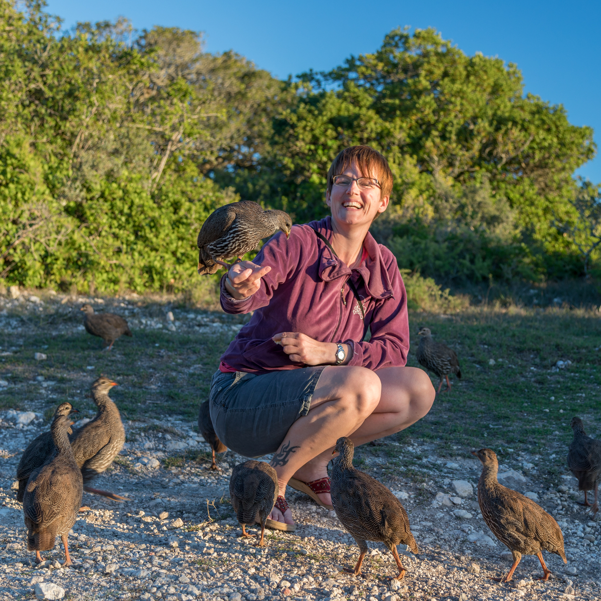 DeHoop-4.jpg DeHoop-4.jpg