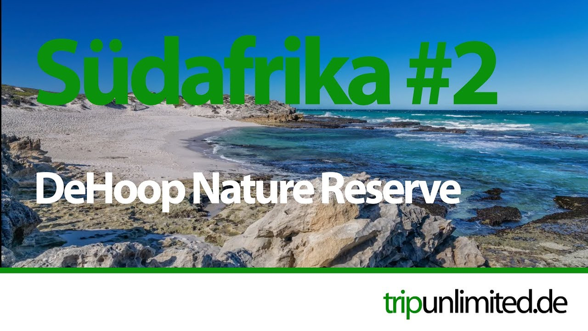 youTube Video id tmA7pmyU8e0 youTube Video id tmA7pmyU8e0