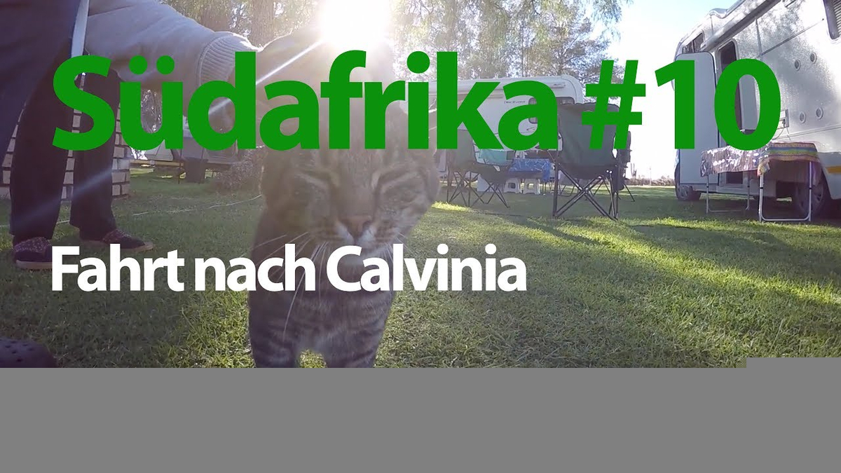 youTube Video id qroG4hnCe1U youTube Video id qroG4hnCe1U