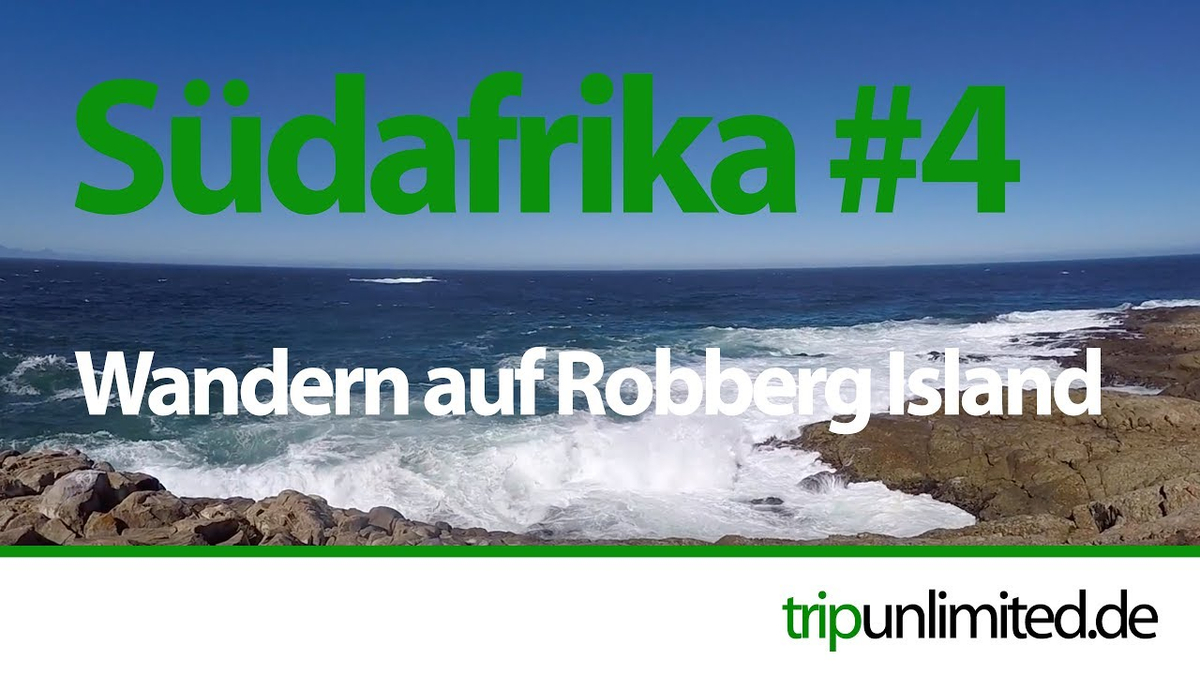 youTube Video id y5__53_Jc4Q youTube Video id y5__53_Jc4Q