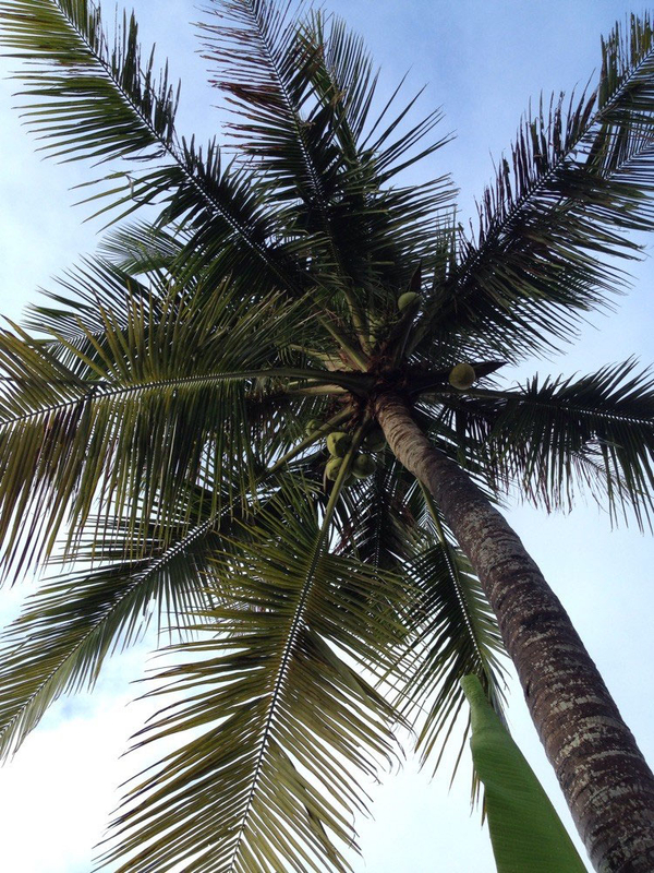 image-33.jpg image-33.jpg