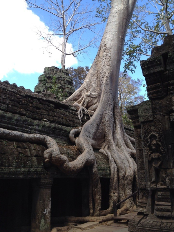 1450955523 1450955523