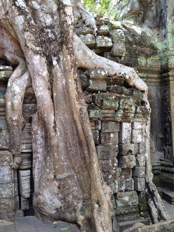 1450955523_7 1450955523_7