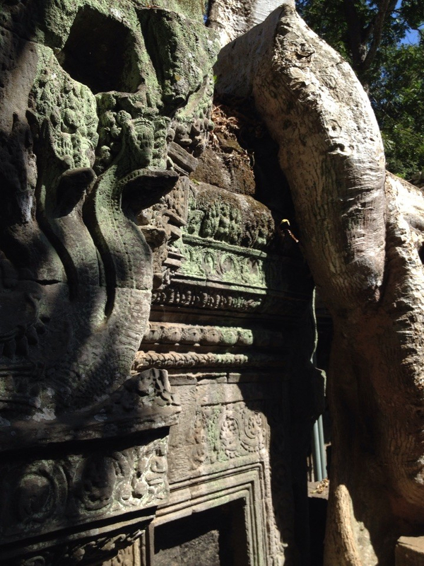 1450955523_8 1450955523_8