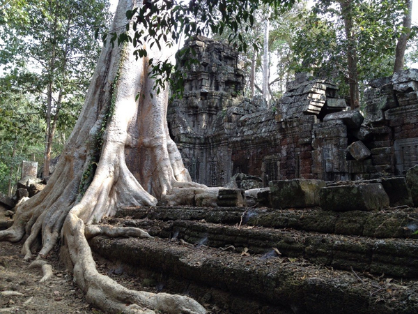 1450960984_3 1450960984_3