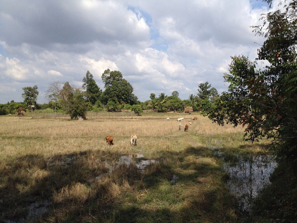 Auf dem Land Auf dem Land