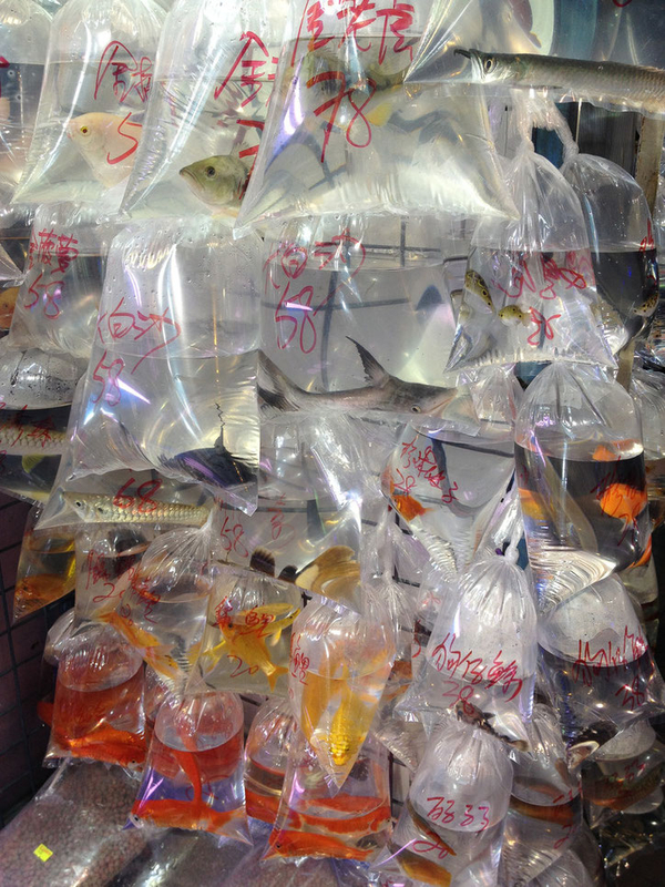 image-40.jpg image-40.jpg