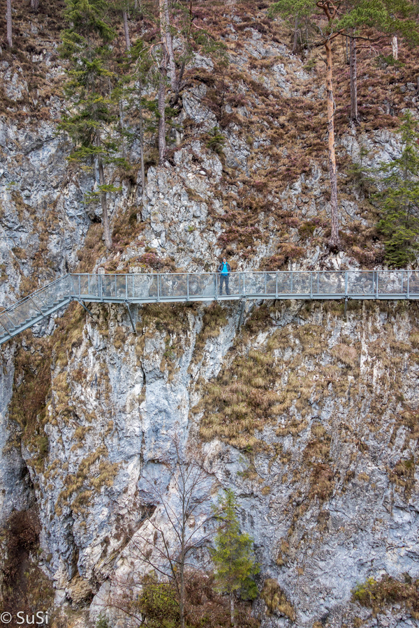 1460396486 1460396486