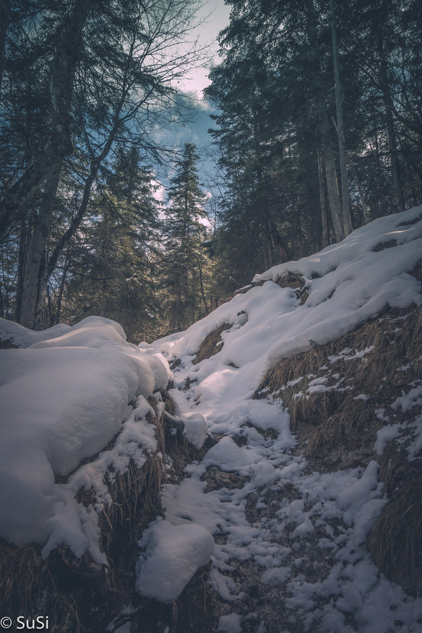 1460396757 1460396757