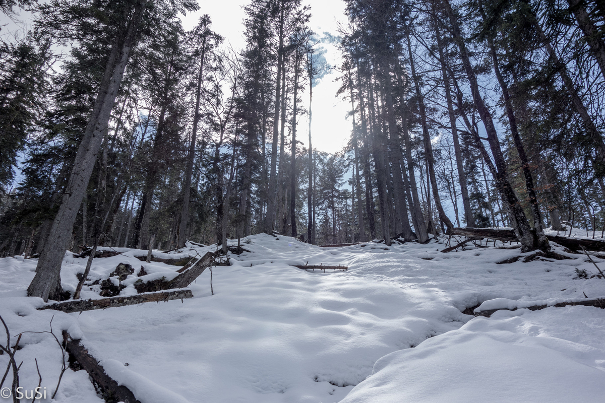 1460396800 1460396800