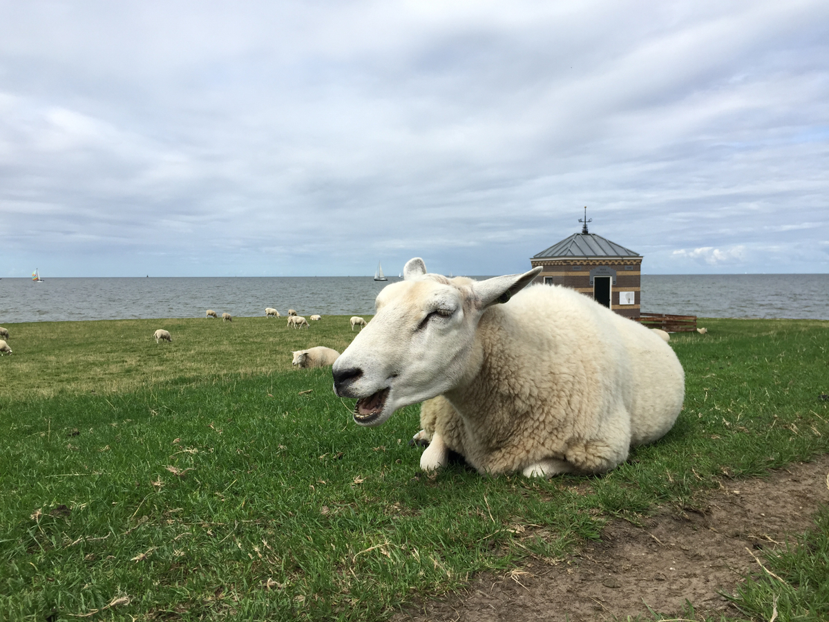 Hindeloopen Hindeloopen