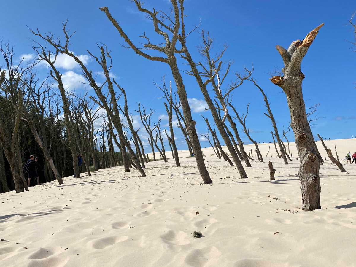 Hero Image Hero Image