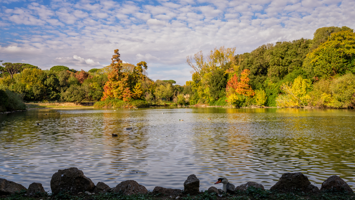 IMG_3128.jpg IMG_3128.jpg