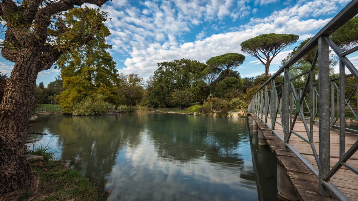 IMG_3128.jpg IMG_3128.jpg