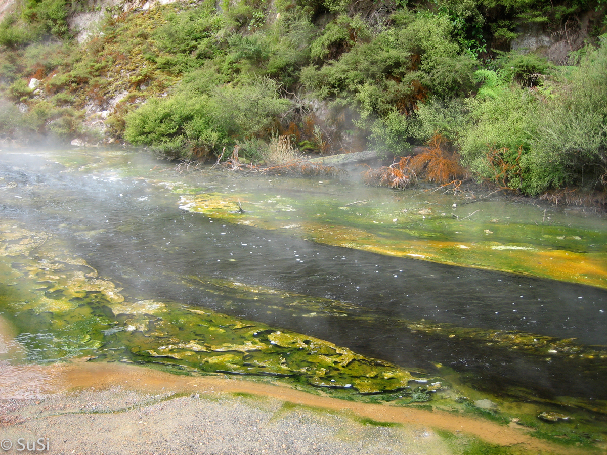 Waiotapu Thermal Reserve und Waimangu Vulcan Valley